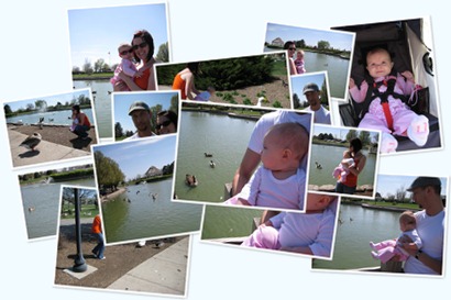 View album